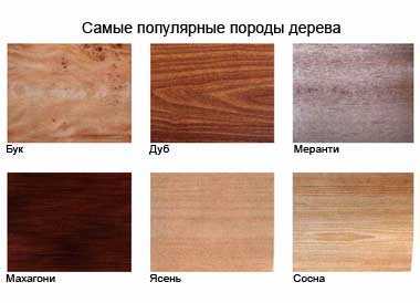 Текстура древесины разных пород фото
