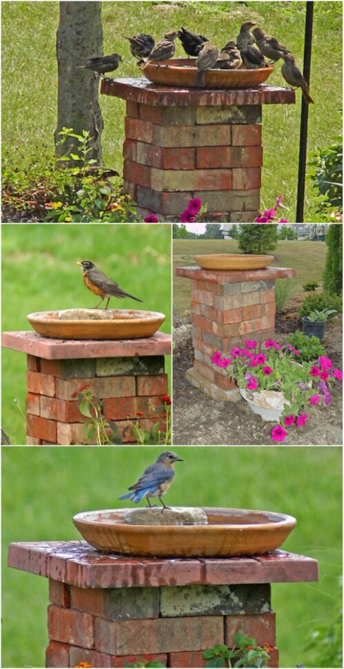 6. Build a Birdbath