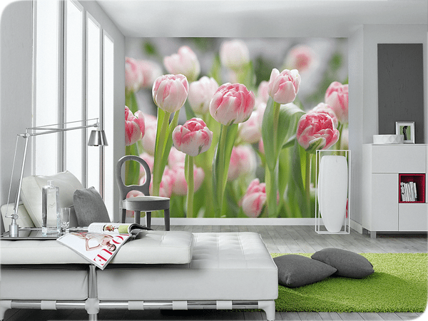 Красивые и необычайно яркие тюльпаны