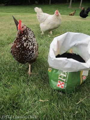 DIY Tater Totes, upcycled feed bag potato patch