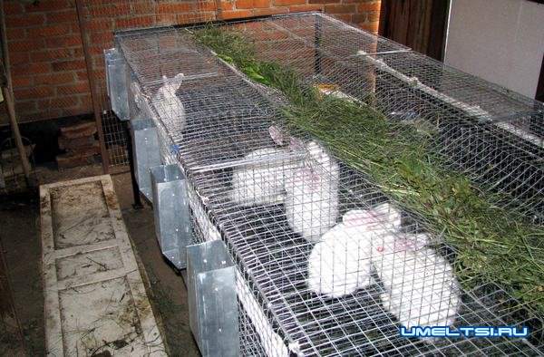 Готовые клетки из сетки для кроликов