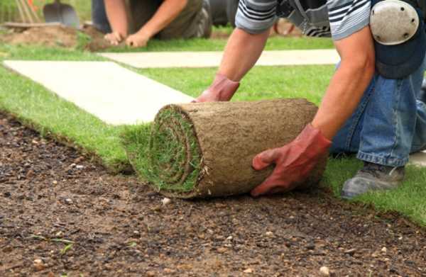 Обустройство газона – Устройство газона: технология и правила ухаживания
