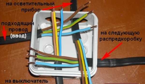 Как найти коробку электропроводки в стене под обоями