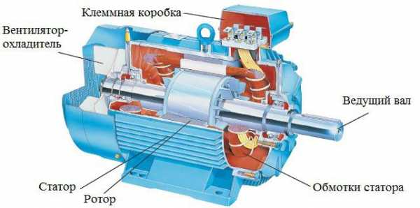 Схема трехфазного двигателя 380